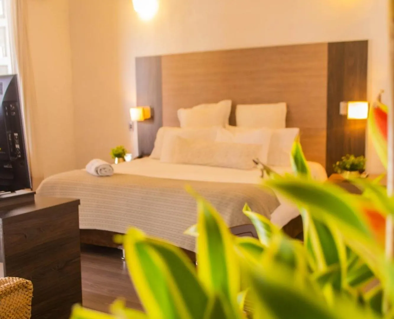 Hotel Boutique Don Pepe Santa Marta